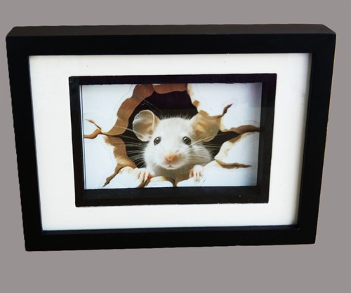 Scatola ombra quadro con